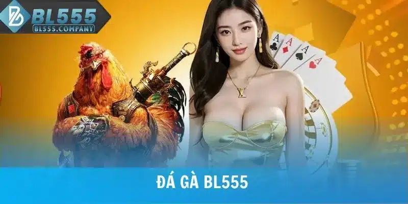 Đá Gà BL555 - Tham Gia Cược Những Cuộc Chiến Huyền Thoại 