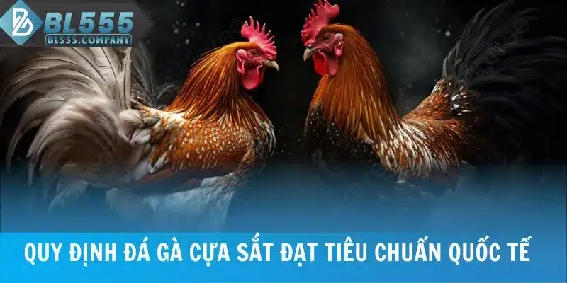 Quy định đá gà cựa sắt đạt tiêu chuẩn quốc tế