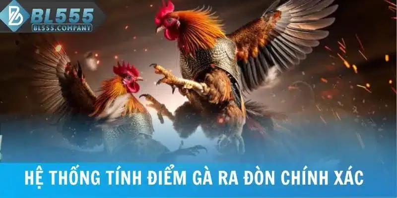 Hệ thống tính điểm gà ra đòn chính xác